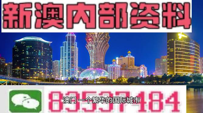 新澳2024正版免费资料与统一释义解释落实的重要性