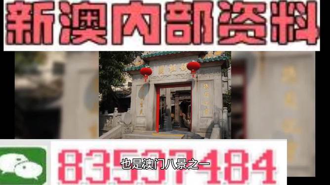 新澳门特免费资料大全与管家婆料，可靠释义、解释及落实