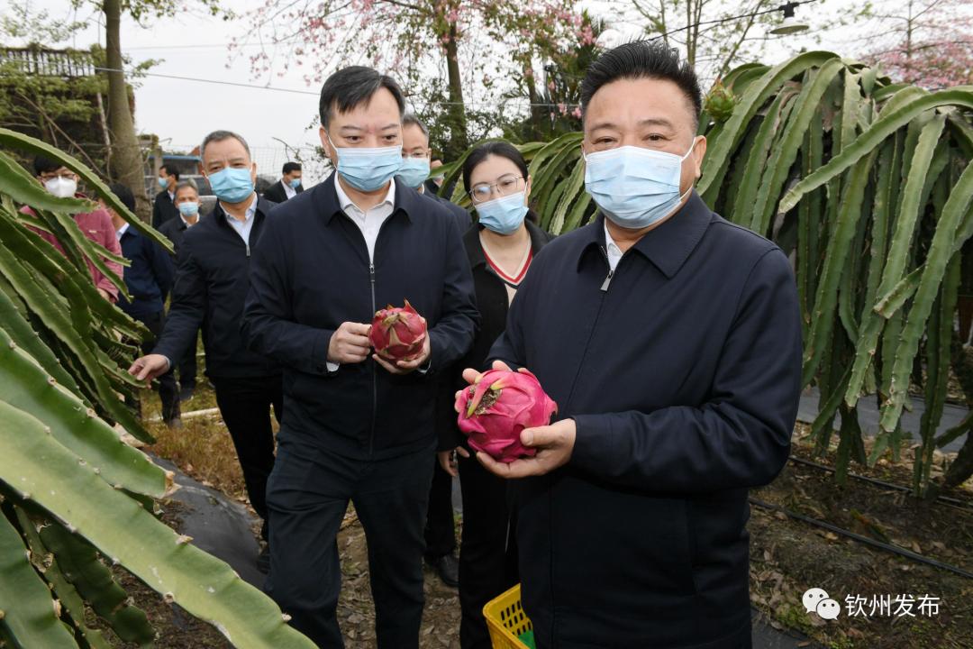 新澳精选资料免费提供，助力学习之路，便利释义解释落实