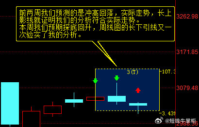 一肖一码一中一特，角色释义与落实的深度解析