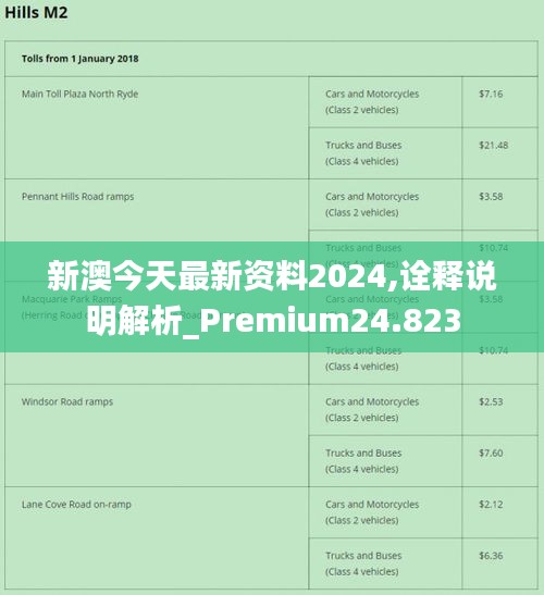 新澳2024年最快最新资料详解与专属释义解释落实策略