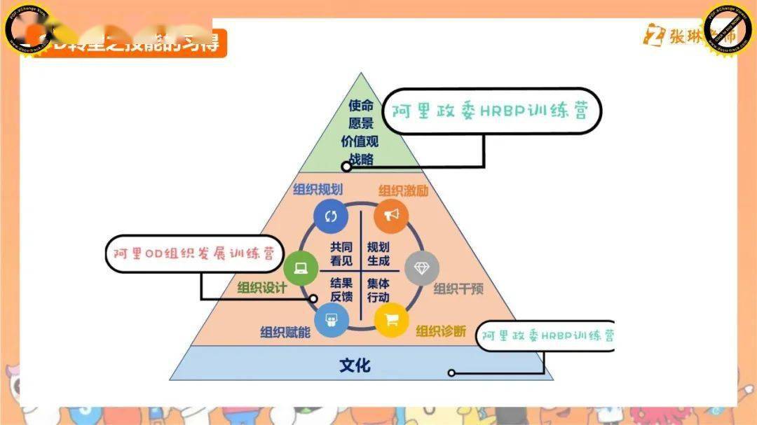 王中王资料大全与功倍释义，深度解析与落实实践