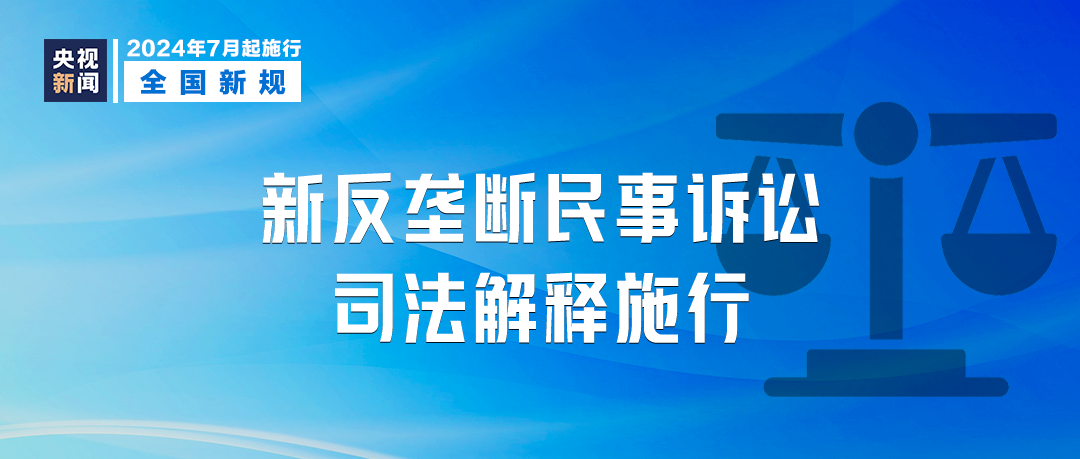 澳门正版资料大全，行家释义与行动落实展望