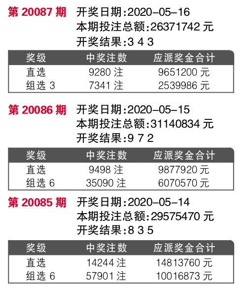 探索历史记录网，揭秘王中王彩票开奖与跨科释义的落实之旅