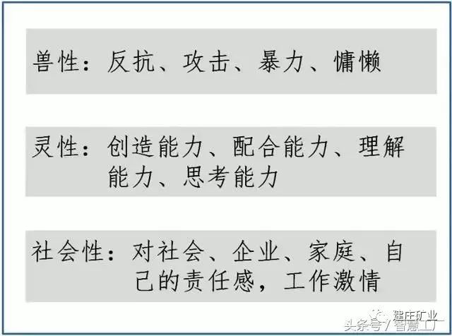 探索澳门正版特马世界——属性释义、解释与落实