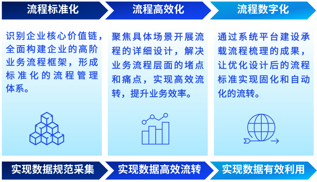 探索数字背后的故事，澳门王中王与洗练释义的落实之旅（2024年展望）