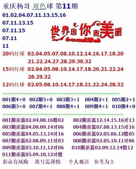 2024年正版免费天天开彩，专一释义、解释与落实