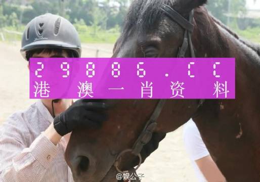 今晚澳门必中一肖一码，领域释义、解释与落实