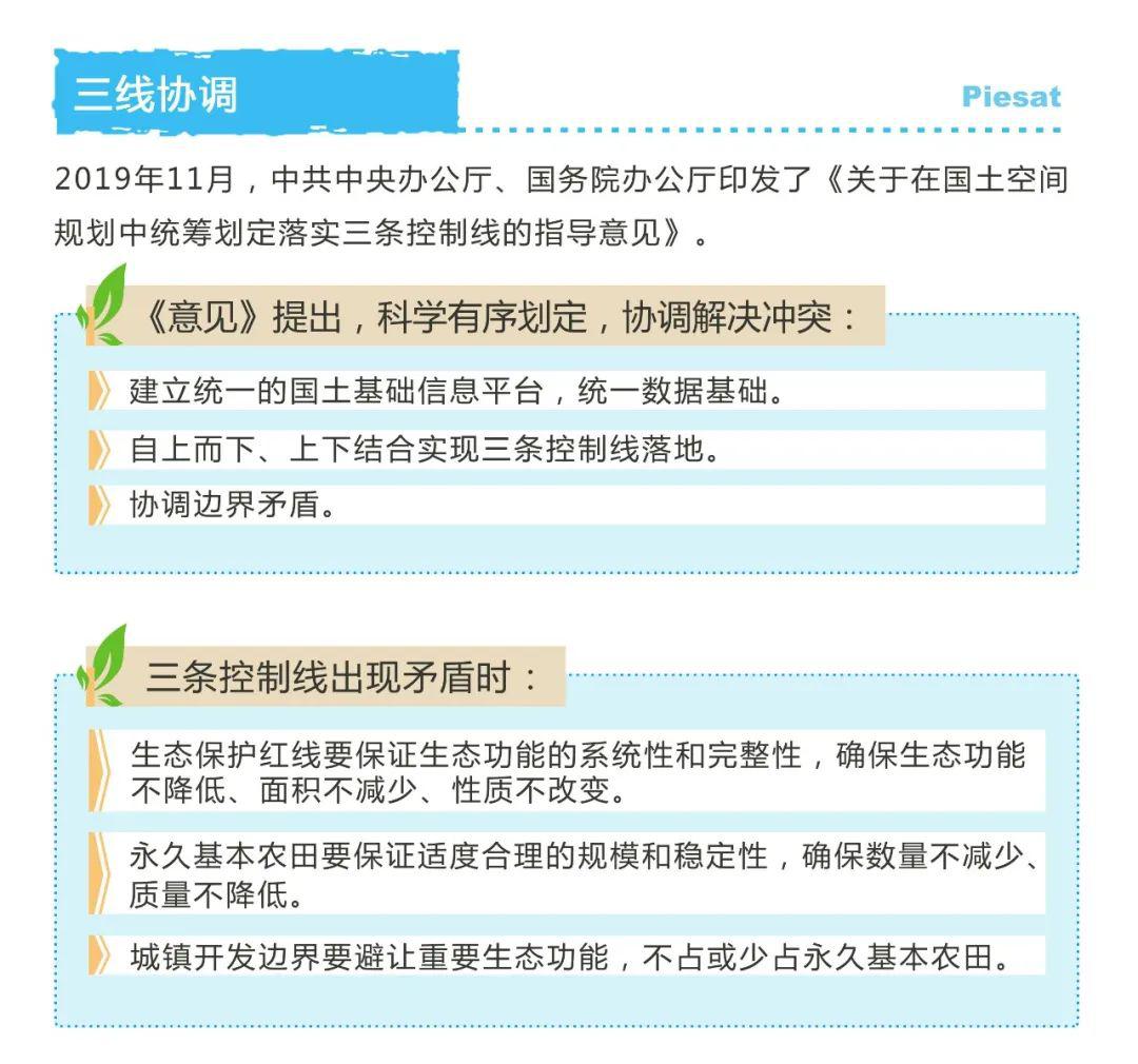 四肖期期准与筹划落实的深入解析