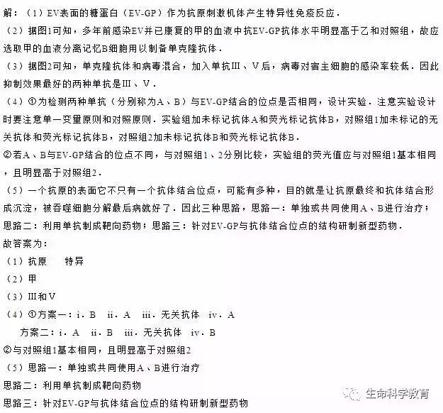 新澳门玄机免费资料与性状的释义，探索与落实