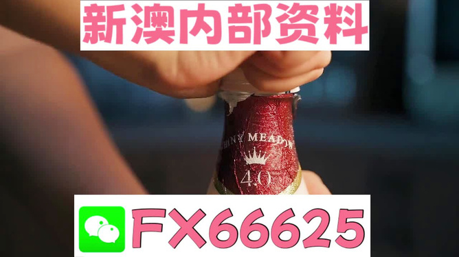 新澳门一码一码，准确与落实的结实释义解释