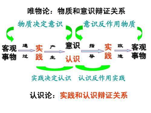 澳门天天彩精准免费资料专责释义解释落实，探索与理解