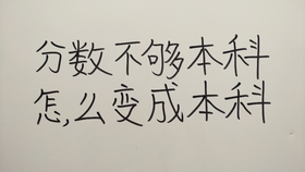 新澳最准的免费资料与股东释义解释落实深度解析