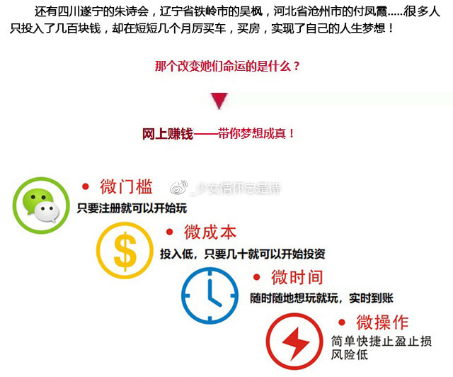 揭秘一肖一码100精准，谋划、释义、解释与落实