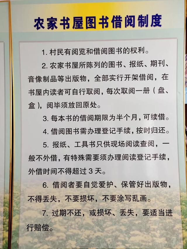 澳门最准最快的免费服务，丰富释义、精准落实的重要性