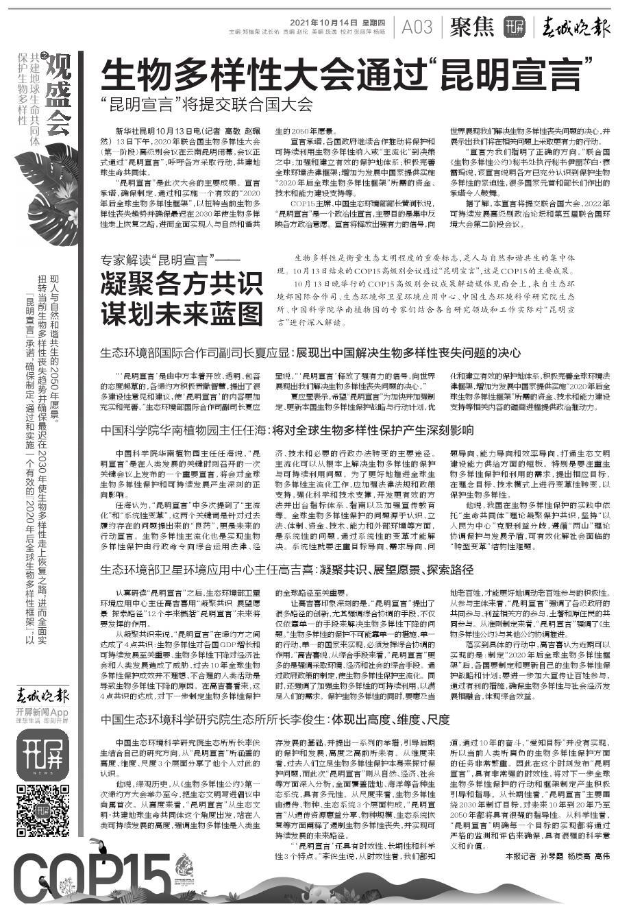 解析澳门未来蓝图，新澳门资料免费长期与特征释义落实