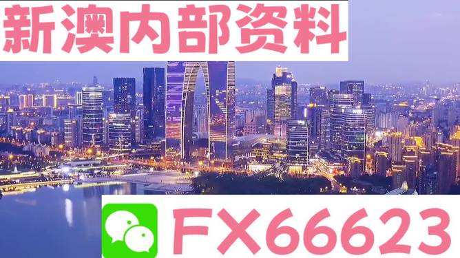 新澳内部一码精准公开，化实释义，解释落实