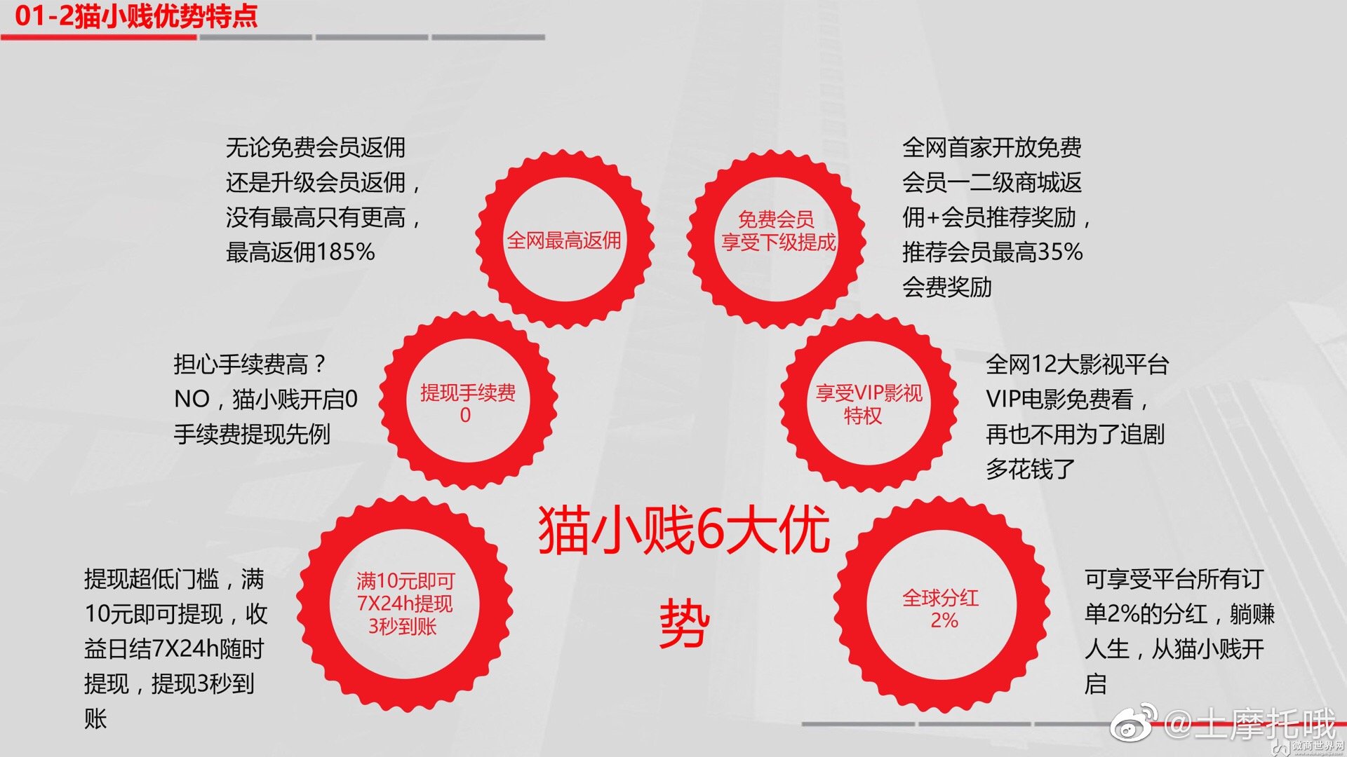 白小姐三期必开一肖与成金释义解释落实的奥秘