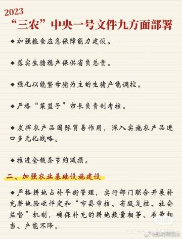 关于一肖一码一中在快速释义解释落实中的展望与探索（2025年）