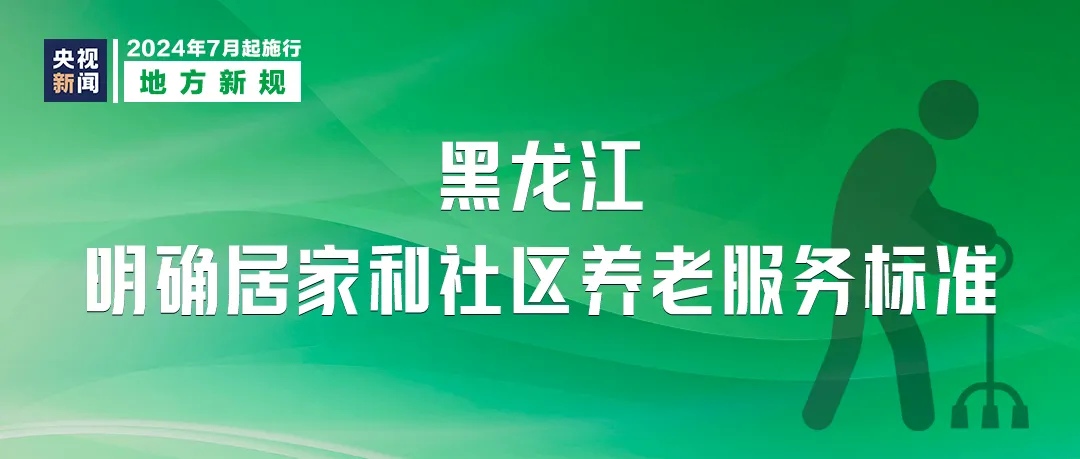 迈向2025，正版资料免费公开的实践与落实