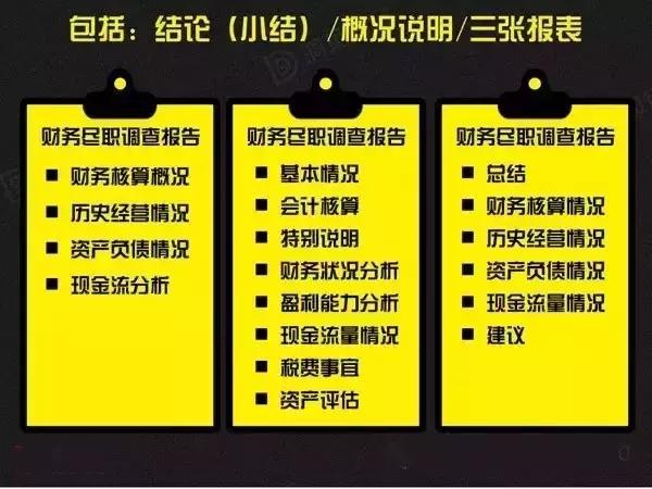 澳门王中王100的资料论坛，深度解析与释义落实