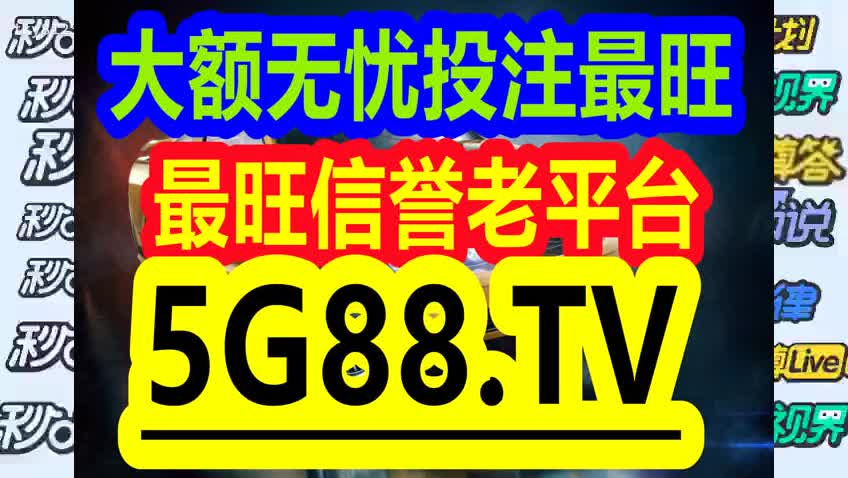 管家婆一码一肖资料大全一语中特，深入解析与实际应用