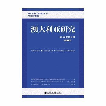 新澳资料大全正版2025，计划释义、解释与落实