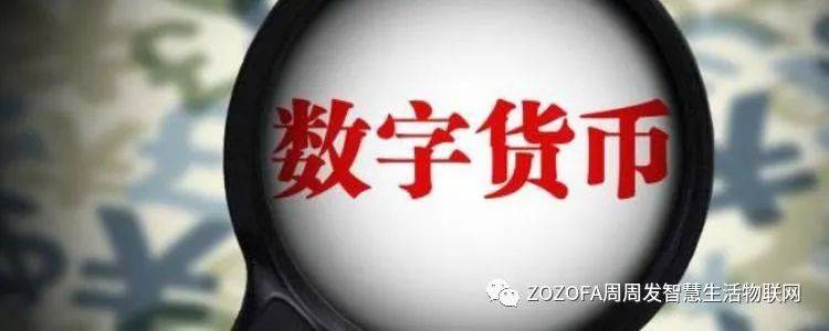 澳门资料大全正新版，流畅释义、解释与落实的重要性