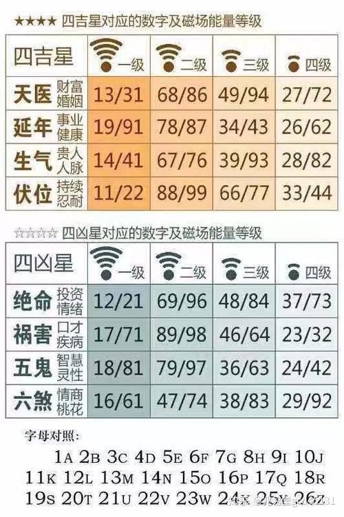 揭秘十二生肖与数字49的奥秘，损益释义及其实践应用