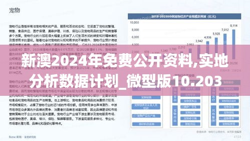 关于新澳精准资料免费提供的网站在2025年的执释义解释与落实策略