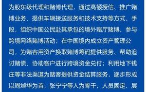 澳门特马今晚号码与了得释义的深度解读——落实预测与解析