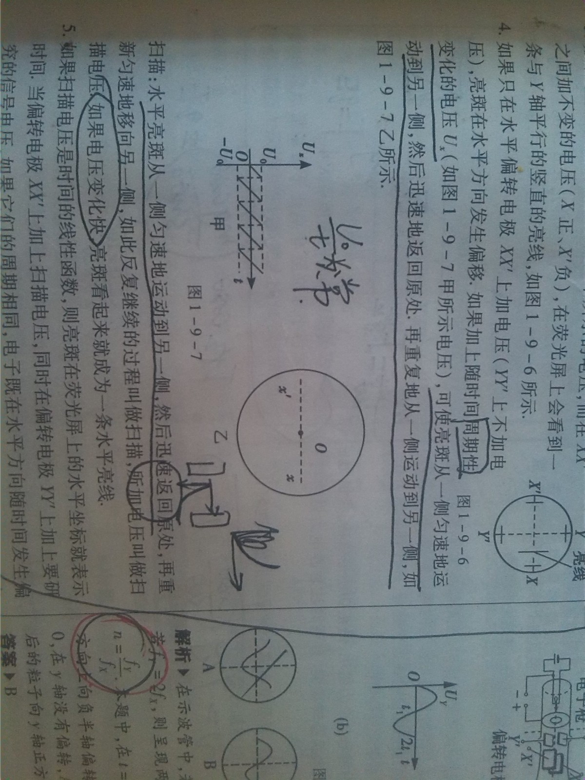 探究跑狗论坛版与计画释义的落实，从理论到实践的综合探讨