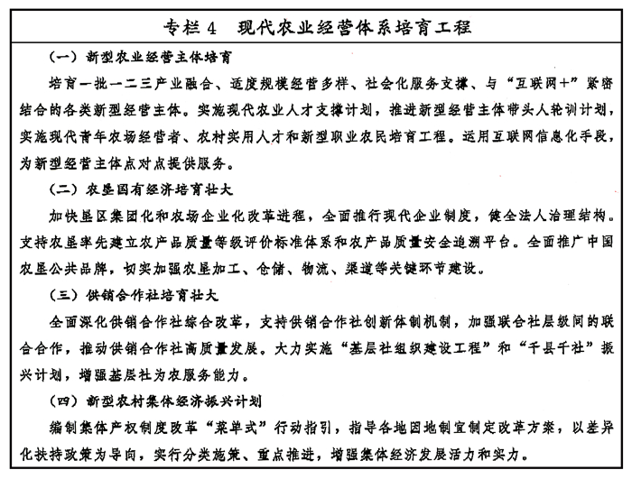 关于新奥正版资料免费提供与智谋释义的深入解读与实施策略的文章