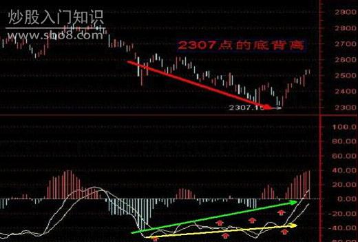 最准一码一肖，揭秘老钱庄的精准预测与下的释义解释落实