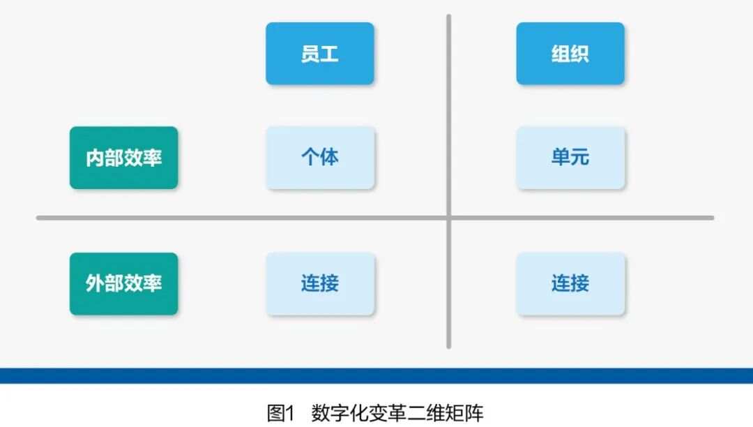 二四六好彩与化研释义，探索数字背后的深层含义与落实策略