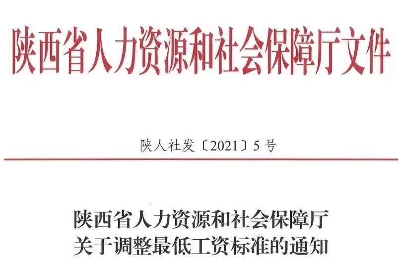 澳门今晚开什么生肖？数量释义与落实深度探讨