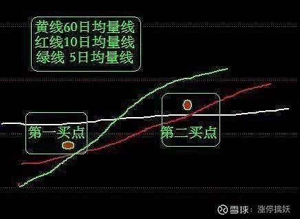 精准跑狗图与线自释义，深度解析与实际应用