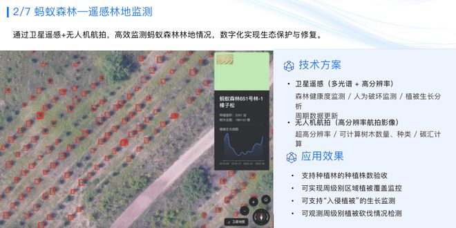 新奥彩、还乡释义与落实，深度解读与探索