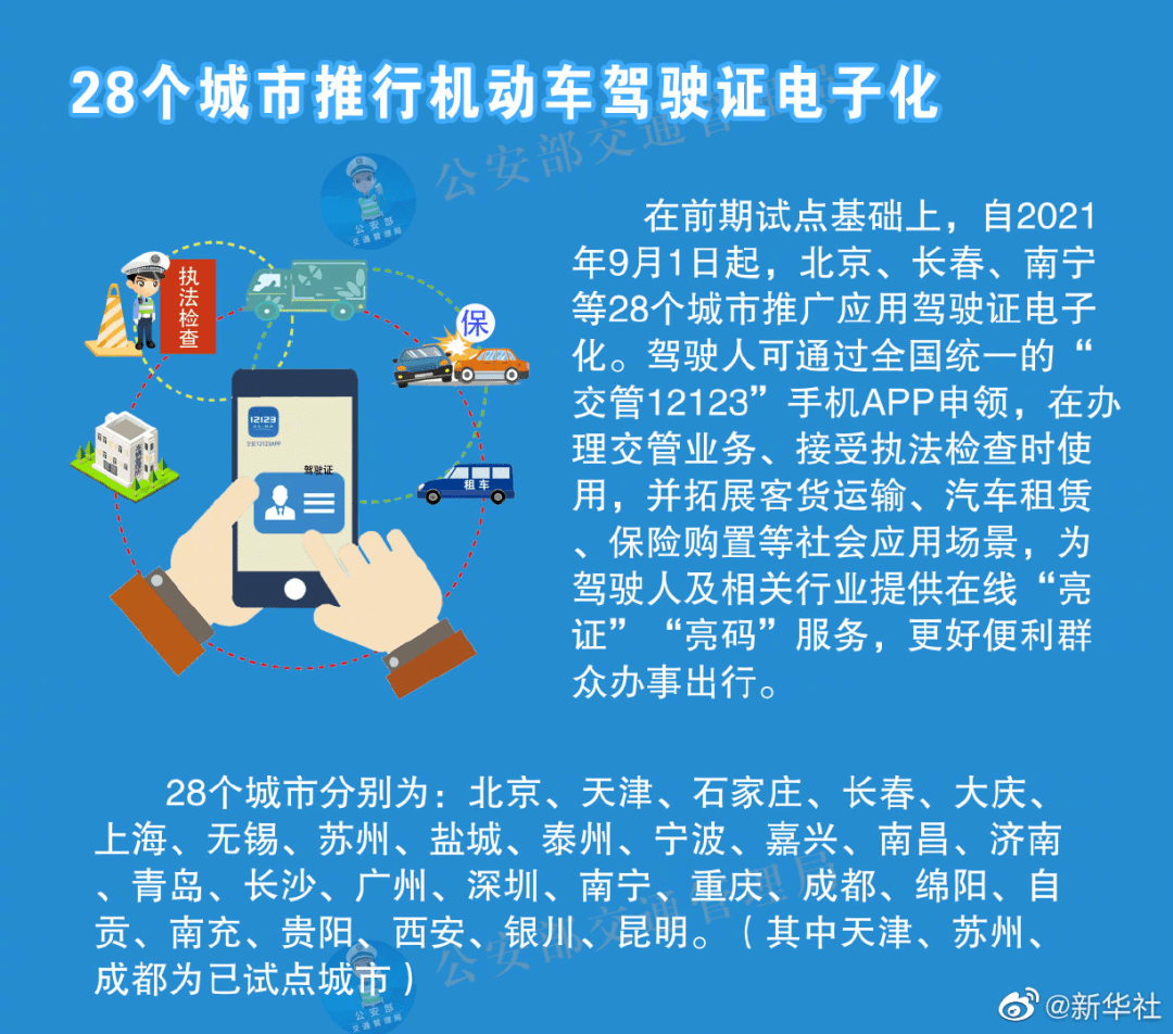 新澳2025精准资料大全详解，分析、释义与落实策略