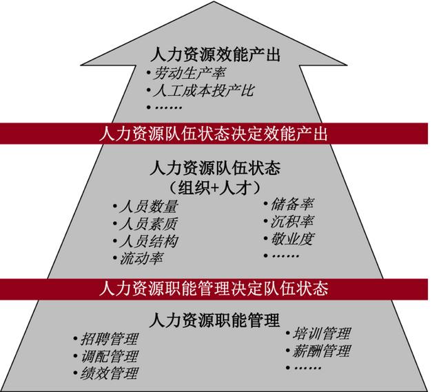 新奥精准免费资料提供与经营释义的落实解析