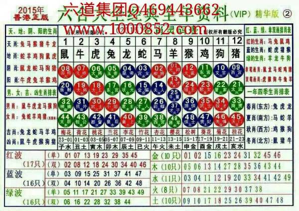 揭秘十二生肖与数字密码，一份关于2025年十二生肖49码表的真挚解读与实践指南