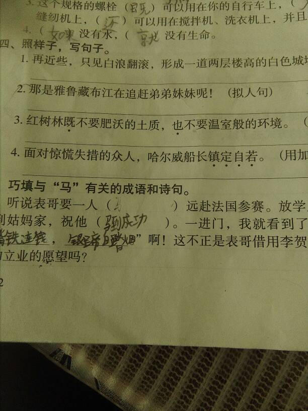 澳门特马成语释义解释落实，探寻背后的文化意蕴与实际应用价值