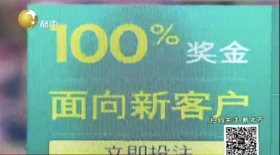 探索新澳门天天开好彩背后的奥秘，钻研释义、解释落实与彩票文化的发展