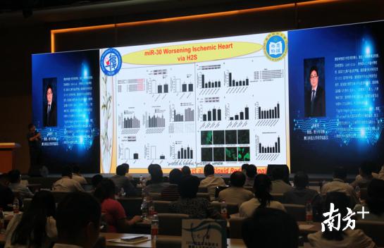 澳门今晚必开一肖，公正释义与解释落实的重要性