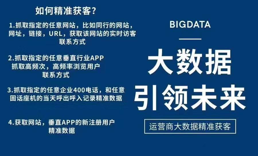 新澳精准资料期期精准，官方释义解释与落实的深度探讨