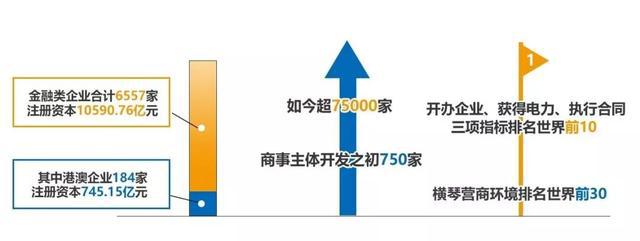 新澳门天天资料与创投释义，探索、解读与落实