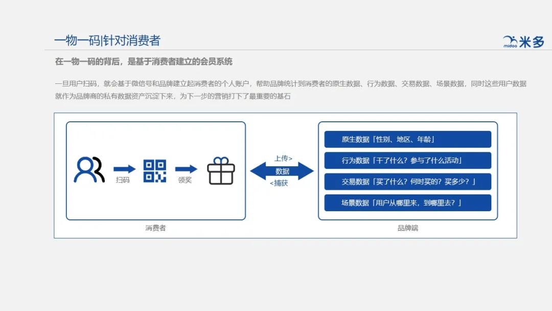 揭秘一肖一码，精准谋划、释义与落实之道