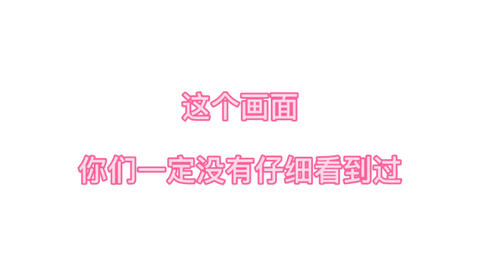 新澳门今晚精准一肖与冷静释义，解释与落实的重要性