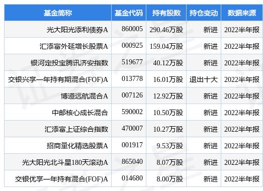 新澳最准的免费资料与股东释义解释落实深度解析